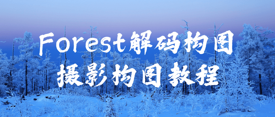 Forest解码构图摄影构图教程-首码网-网上创业赚钱首码项目发布推广平台