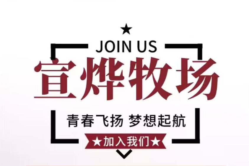 宣烨牧场 免费零撸 长期稳定变现 官方包回收-首码网-网上创业赚钱首码项目发布推广平台