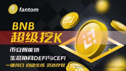 2023首码稳定项目重磅来袭BNB，火爆进行中-首码网-网上创业赚钱首码项目发布推广平台