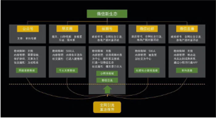 视频号1小时涨100粉经验，人人都能复制-首码网-网上创业赚钱首码项目发布推广平台